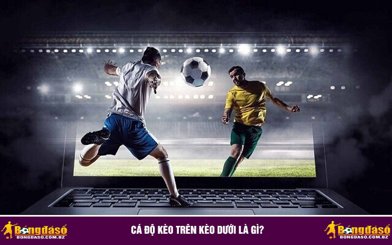 Cá độ kèo trên kèo dưới là gì?