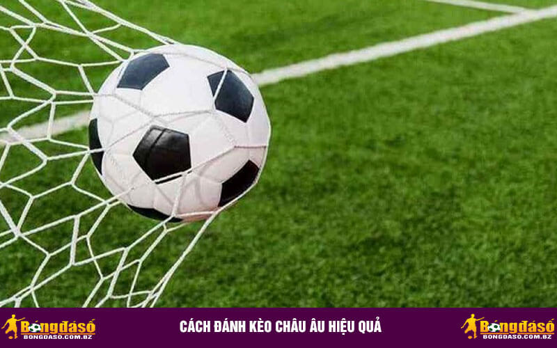 Cách đánh kèo Châu Âu hiệu quả