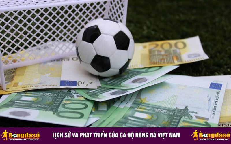 Lịch sử và phát triển của Cá Độ Bóng Đá Việt Nam