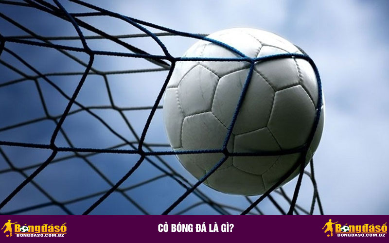 Cò bóng đá là gì?