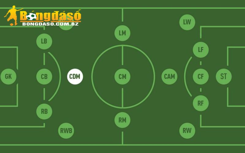CDM Trong Bóng Đá là gì?